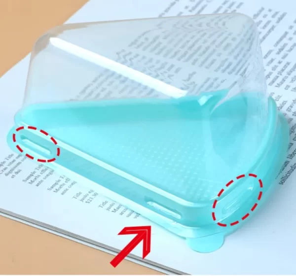 tarta-corte-contenedor-mayorista (4)