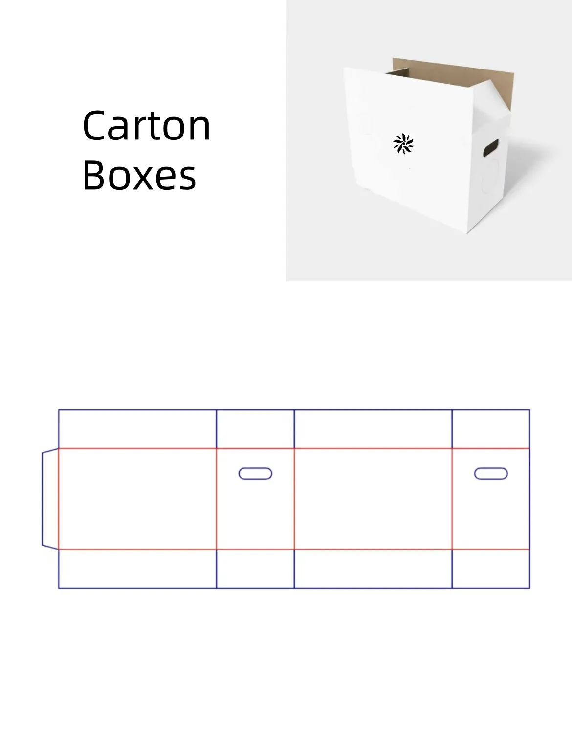 Carton Boxes Design