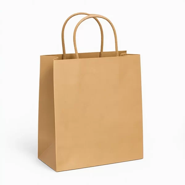 Twisted Handle Paper Bag