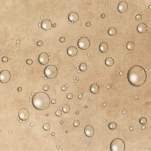 Water-based Coating